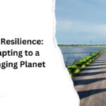 Eco-Resilience: Adapting to a Changing Planet