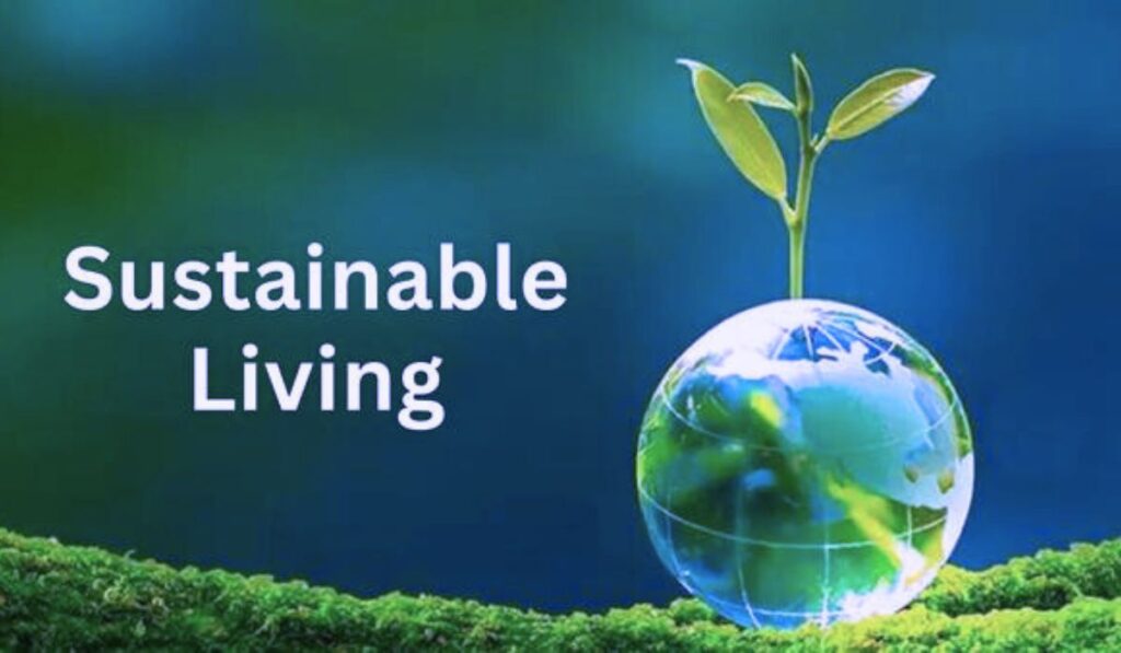 Living Lightly: Eco-Conscious Living in Action