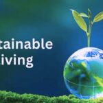 Living Lightly: Eco-Conscious Living in Action