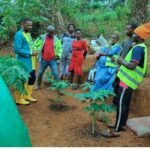 Sowing Seeds of Change: Empowering Eco-Activism